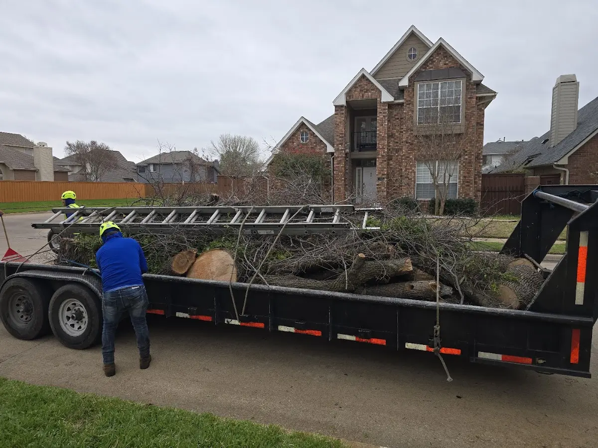 Expert Tree Fertilization with proper safety equipment in Hunter